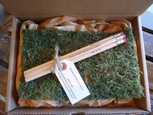 Оригинальное свадебное приглашение: приглашение на карандашах