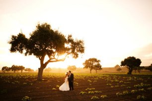 Идеи для свадьбы