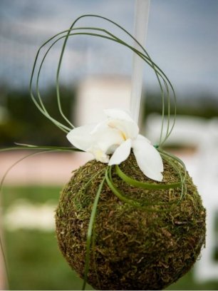 Идеи для свадьбы