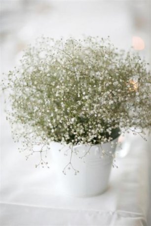 Оформление зала