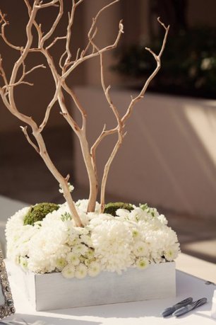 Сухие ветки и цветы