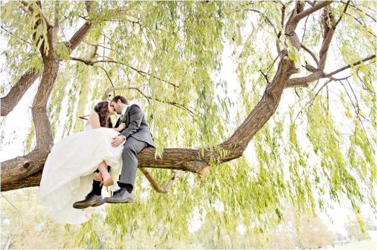 Жених и невеста на дереве