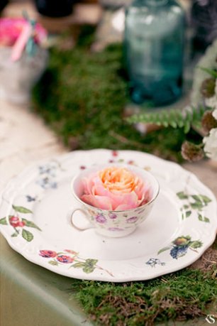 Книжная свадьба