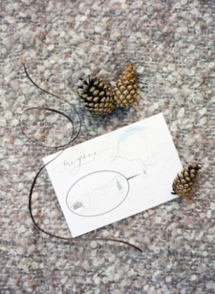 Приглашение и шишки