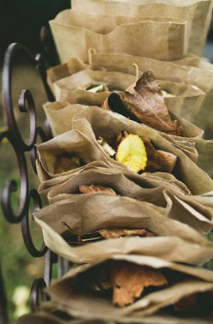 Индейская свадьба, детали свадьбы