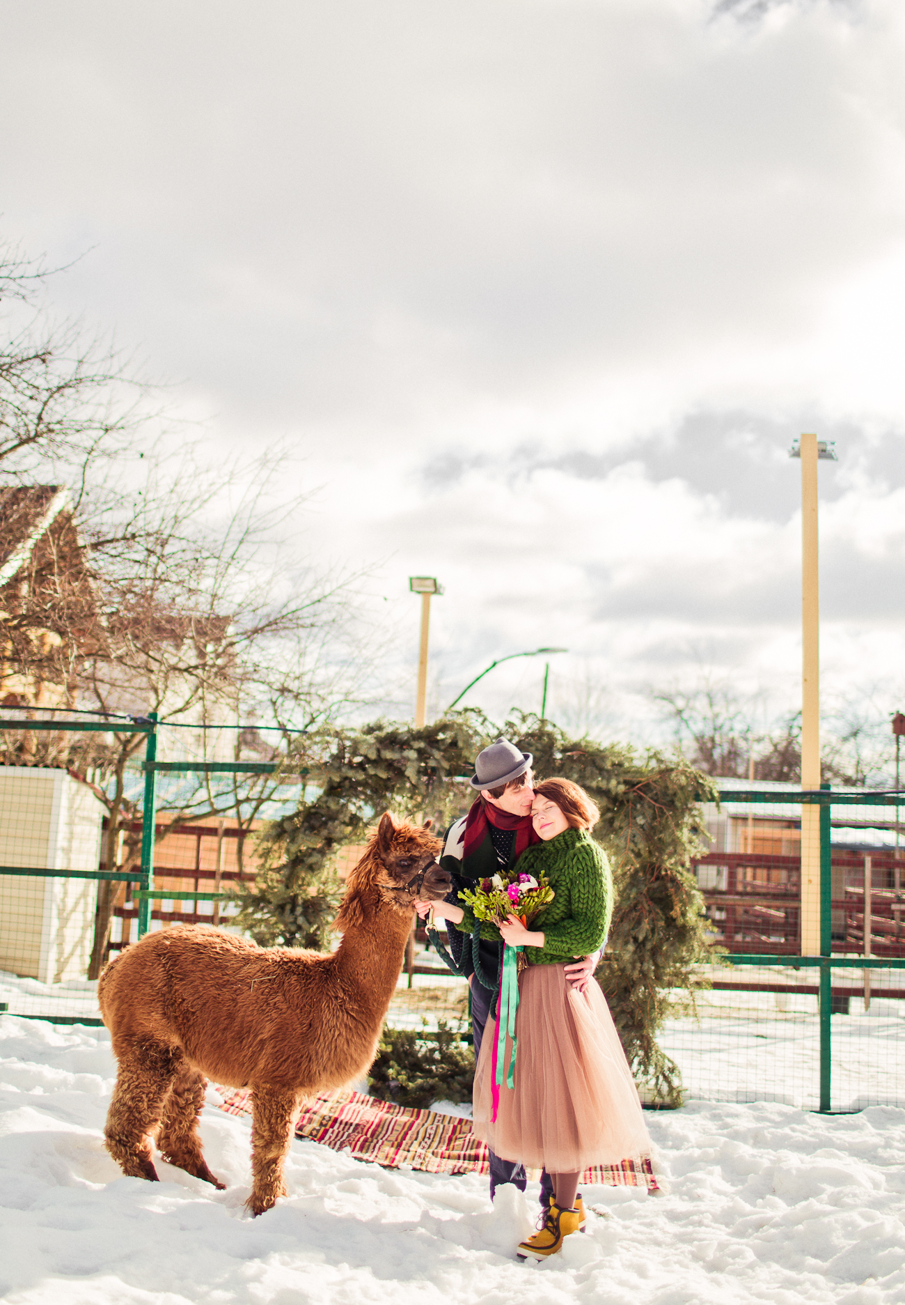 Alpaca's Wedding. Маленькая свадьба на ферме