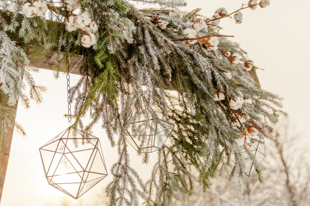 Зимняя свадьба математиков