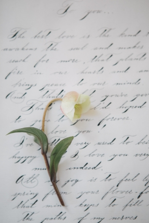 Оттенки зимы