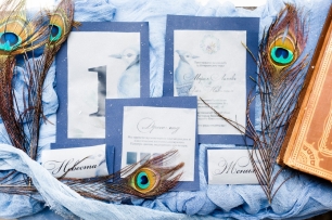 Готичная зимняя свадьба в стиле фильмов Тима Бертона