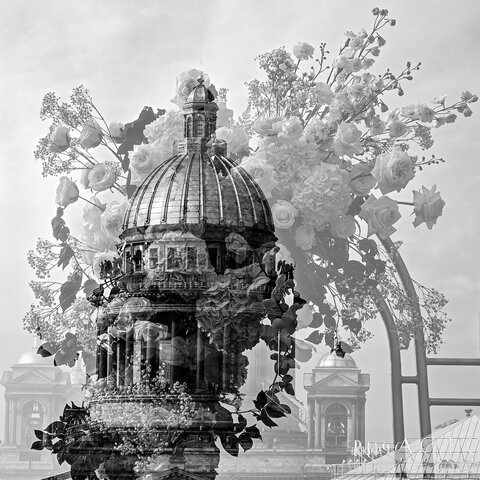 Любовь как вдохновение. Свадьба Александры и Евгения.