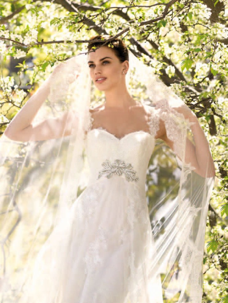 Свадебный бутик  SPOSA MODA 

г. Воронеж. ул.Фридриха  Энгельса  д. 11  

Ежедневно без перерыва с 10 до 19 

Воскресенье с 10 до 16 . 

предварительная запись по тел. +7(473) 239-07-97