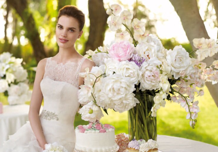 Свадебный бутик  SPOSA MODA 

г. Воронеж. ул.Фридриха  Энгельса  д. 11  

Ежедневно без перерыва с 10 до 19 

Воскресенье с 10 до 16 . 

предварительная запись по тел. +7(473) 239-07-97
