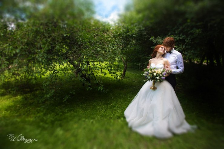 фотограф в Москве, свадебный фотограф в Москве, weddingsg.ru, телефон фотографа 8(905)715-17-55
