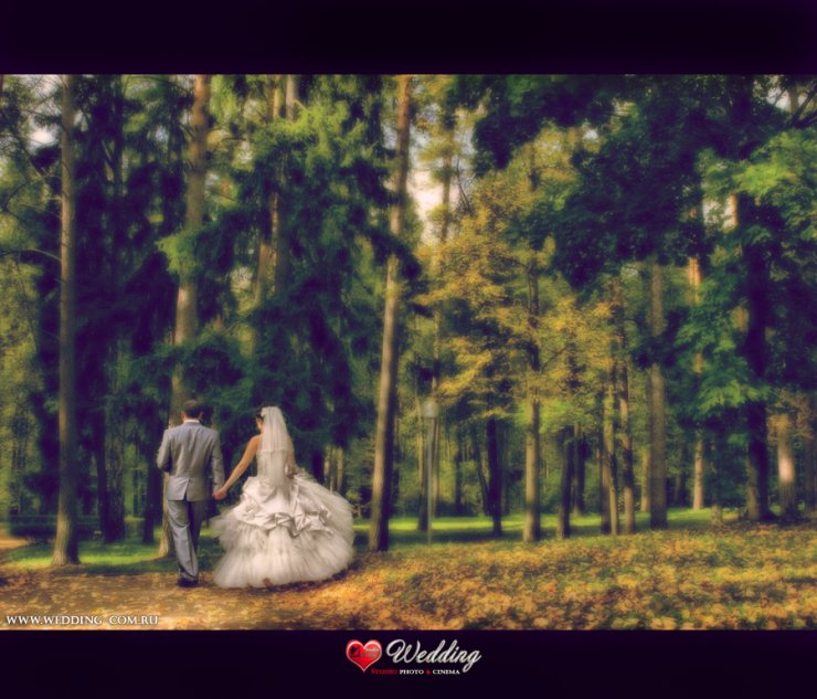 WEDDING STUDIO PHOTO CINEMA ( www.wedding-com.ru) ПРОИЗВОДИМ СВАДЕБНУЮ ПРОФЕССИОНАЛЬНУЮ ФОТОСЪЕМКУ И ВИДЕОСЪЕМКУ В Москве И Московской области... ЖИВЫЕ ЭМОЦИИ-ПРИЯТНЫЕ ВОСПОМИНАНИЯ!!!
