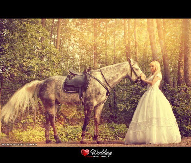 WEDDING STUDIO PHOTO CINEMA ( www.wedding-com.ru) ПРОИЗВОДИМ СВАДЕБНУЮ ПРОФЕССИОНАЛЬНУЮ ФОТОСЪЕМКУ И ВИДЕОСЪЕМКУ В Москве И Московской области... ЖИВЫЕ ЭМОЦИИ-ПРИЯТНЫЕ ВОСПОМИНАНИЯ!!!