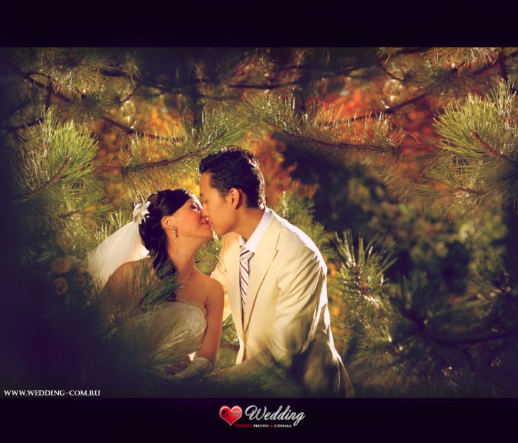 WEDDING STUDIO PHOTO CINEMA ( www.wedding-com.ru) ПРОИЗВОДИМ СВАДЕБНУЮ ПРОФЕССИОНАЛЬНУЮ ФОТОСЪЕМКУ И ВИДЕОСЪЕМКУ В Москве И Московской области... ЖИВЫЕ ЭМОЦИИ-ПРИЯТНЫЕ ВОСПОМИНАНИЯ!!!