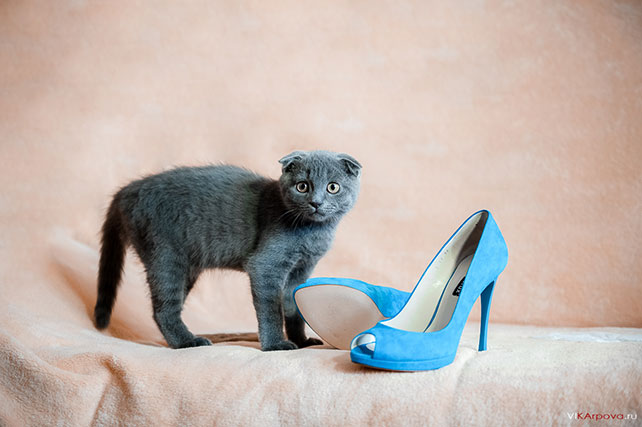 небесно-голубая свадьба Константина и Марии