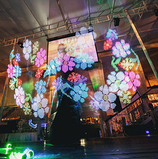 белоснежная свадьба, светодиодное шоу