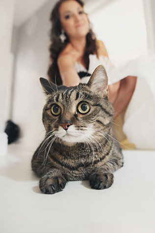 белоснежная свадьба, утро невесты