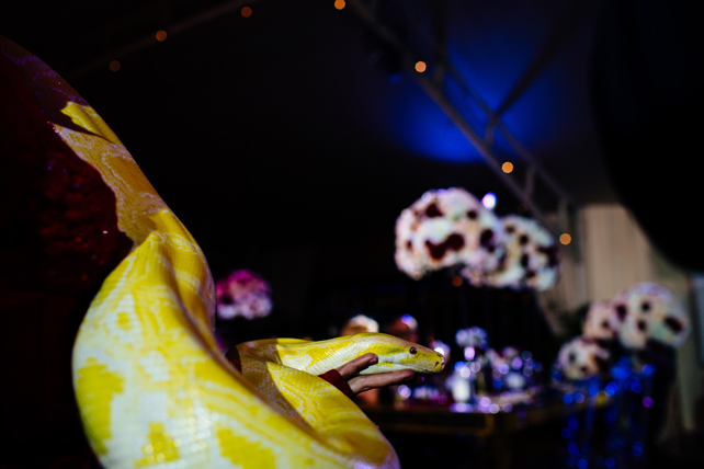 Свадьба радиоведущей Веры Шаховой 