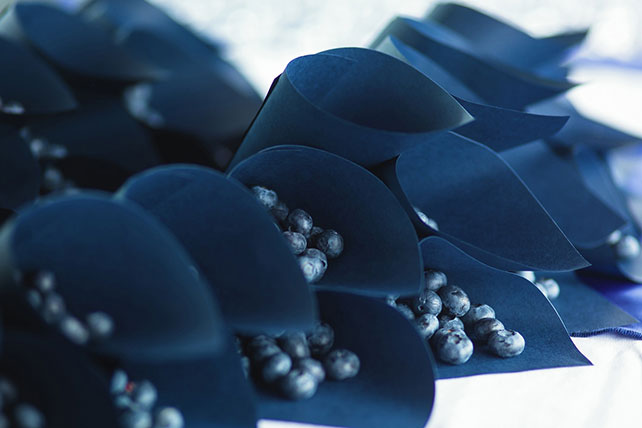 Элегантная черничная свадьба, черника в кульках в декоре свадьбы 