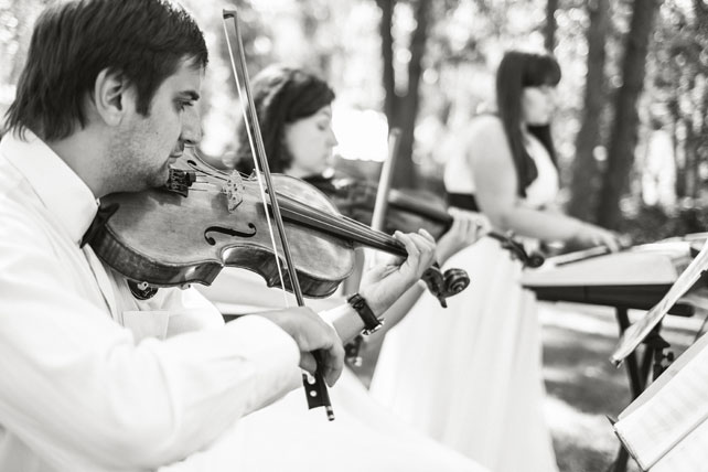 черно-белая свадьба, музыканты на свадьбе