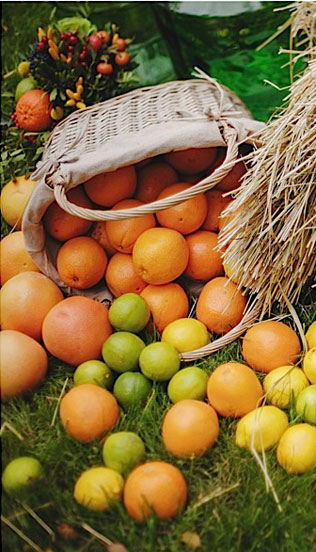 цитрусовая свадьба, антураж