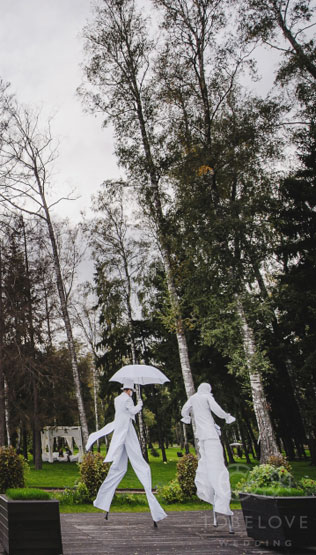 цитрусовая свадьба, артисты на свадьбе