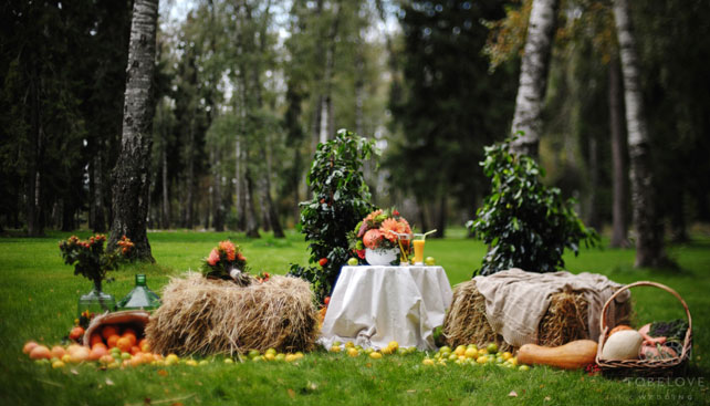 цитрусовая свадьба, декорации для фотосессии