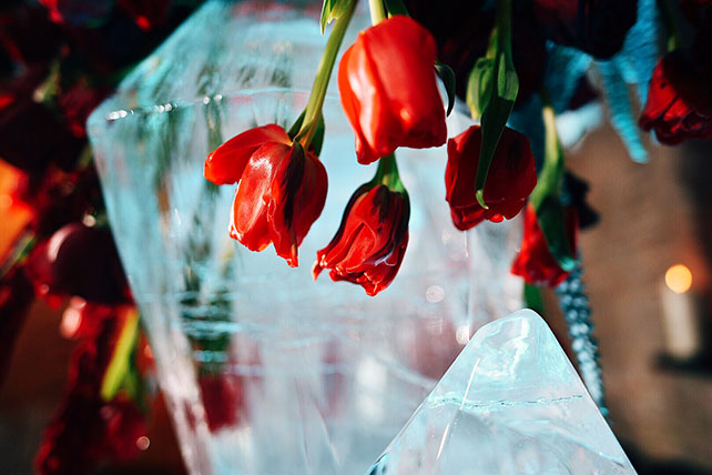 Агентство свадебной режиссуры TOBELOVE, декорации из льда