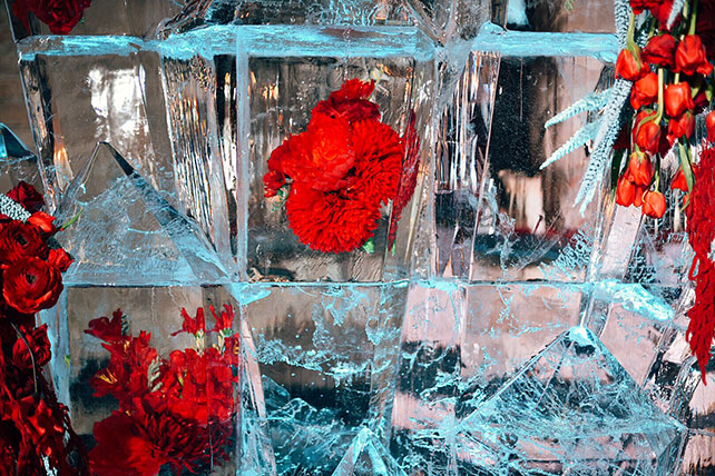 Агентство свадебной режиссуры TOBELOVE, декорации из льда