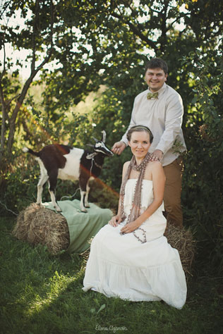 Деревенская простота, животные на свадьбе