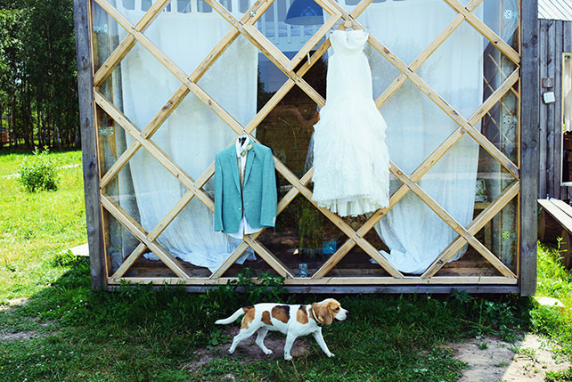 Деревенская свадьба в стиле рустик, платье невесты и костюм жениха