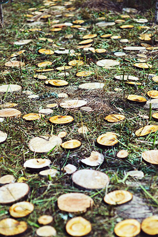 Деревенская свадьба в стиле рустик, тропинка из спилов дерева