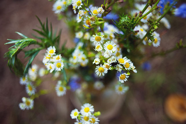Деревенская свадьба в стиле рустик, флористика
