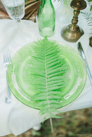 Древний папоротник на тарелке