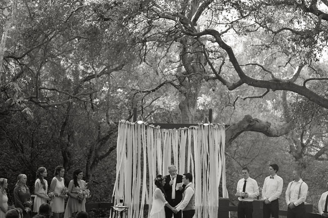 молодожены