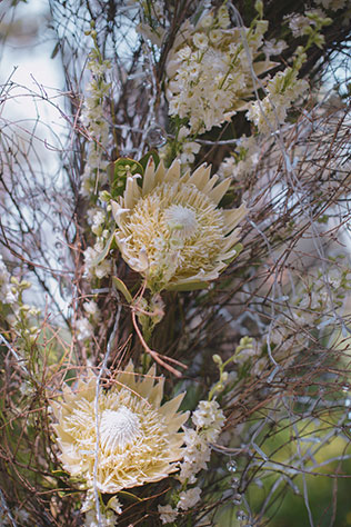 эльфийская свадьба, протея в декоре свадебной арки