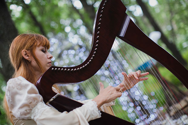 эльфийская свадьба, церемония, арфистка