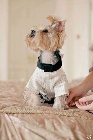 гламурная зимняя свадьба