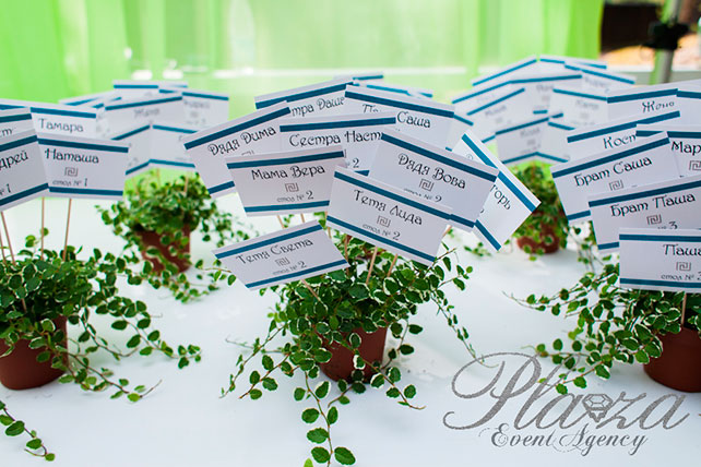 греческая свадьба, план рассадки гостей