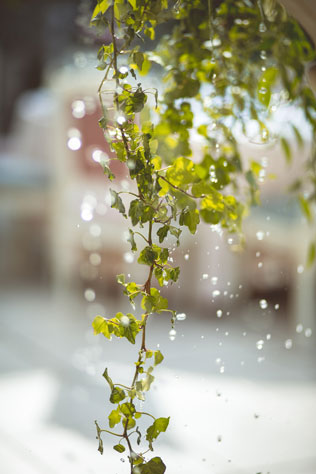 Италия в центре Москвы, зелень на свадьбе