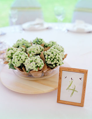 классическая свадьба в усадьбе