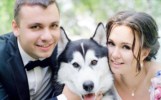 Жених и невеста, Свадебная фотосессия