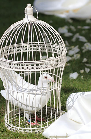 королевская нежность, роскошная свадьба, голуби на свадьбе