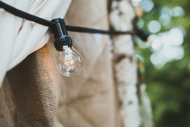 Лесная свадьба, лампочка