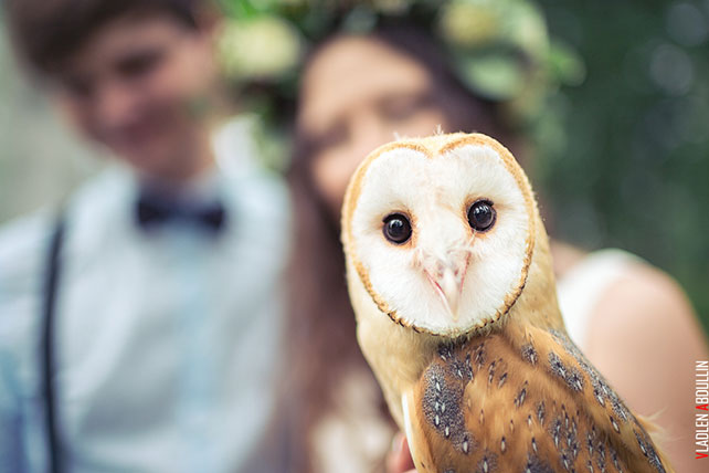 лесная свадьба в стиле бохо, фотосессия с совами