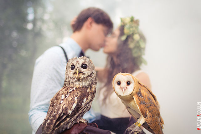 лесная свадьба в стиле бохо, фотосессия с совами