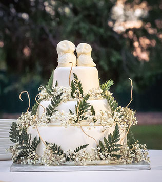 лесная свадьба в стиле бохо, свадебный торт