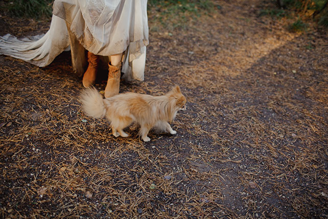 Свадьба в стиле эко-рустик, собака на свадьбе